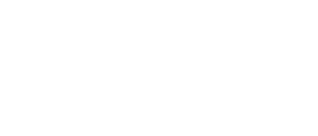 LOGO ANFM